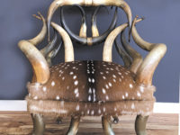 Costly Horn Furniture & Accessories Attracting Collectors
