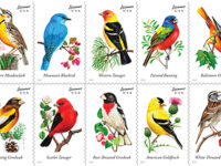 Rocky Mountain Stamp Show May 26-28 Celebrates ‘The Birds of Colorado’