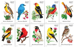 Rocky Mountain Stamp Show May 26-28 Celebrates ‘The Birds of Colorado’