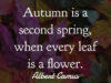 September’s Quote of Month