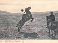 Cowboys and Cowgirls –  January Is Here!