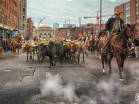 The 120th Edition of the National Western Stock Show