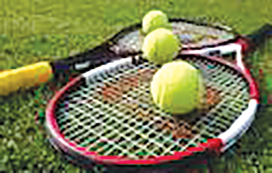 Vol Racket Tennis Anyone? Sport ‘Nets’ Many Collectibles