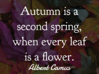 September’s Quote of Month