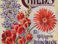 Garden History Depicted in Old Seed Catalogs
