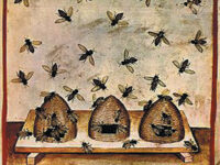 Beekeeping Depictions Date to 4,500 Years Ago