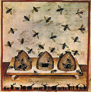 Beekeeping Depictions Date to 4,500 Years Ago